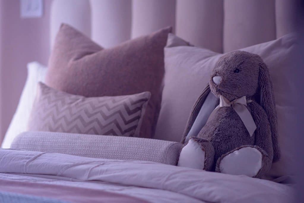 dust mites in our home
