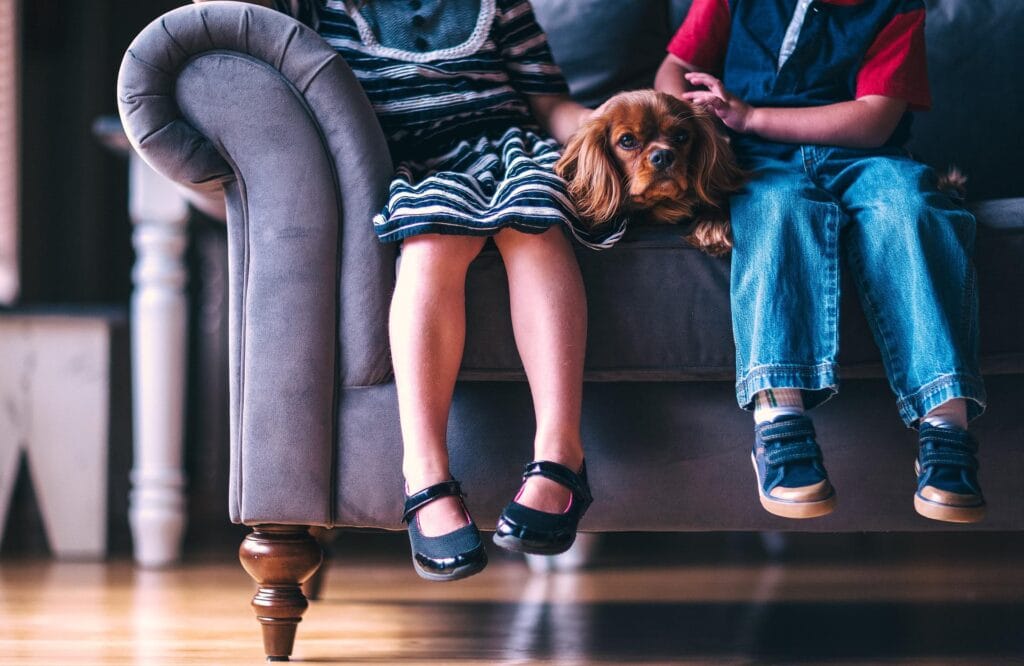 Le divan en tissus et son nettoyage