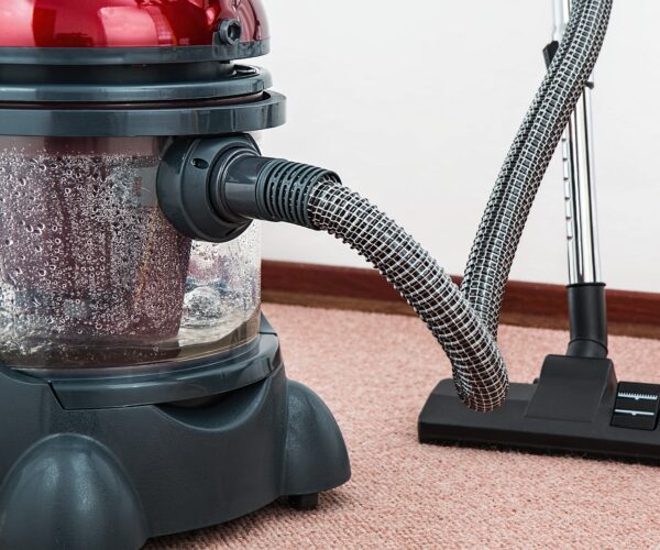 Nettoyage de tapis a sec, ils seront secs immédiatement mais sont ils bien  lavés ?