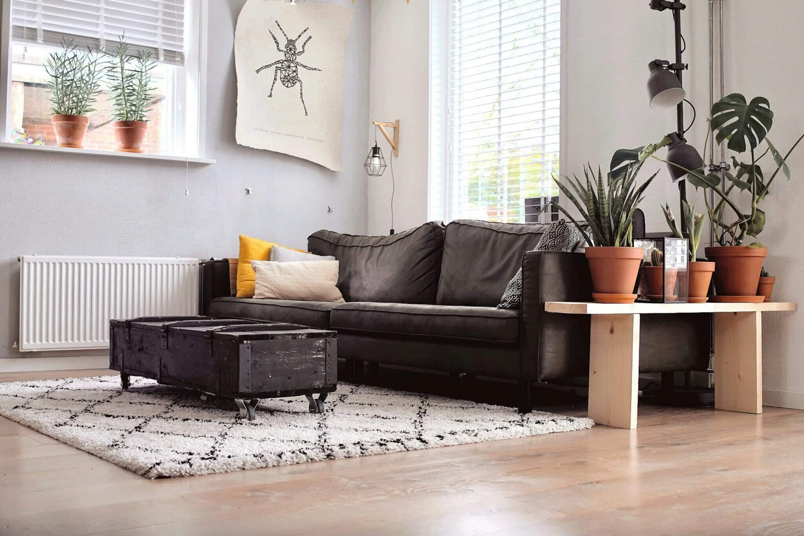 Carpet cleaning in Longueuil for apartments and condo units