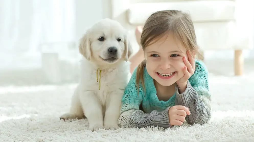 toddleranddog 4